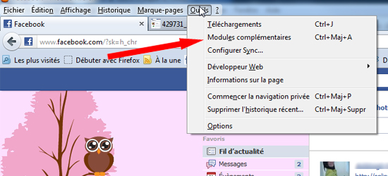 Désintaller Nouveau Facebook Rose