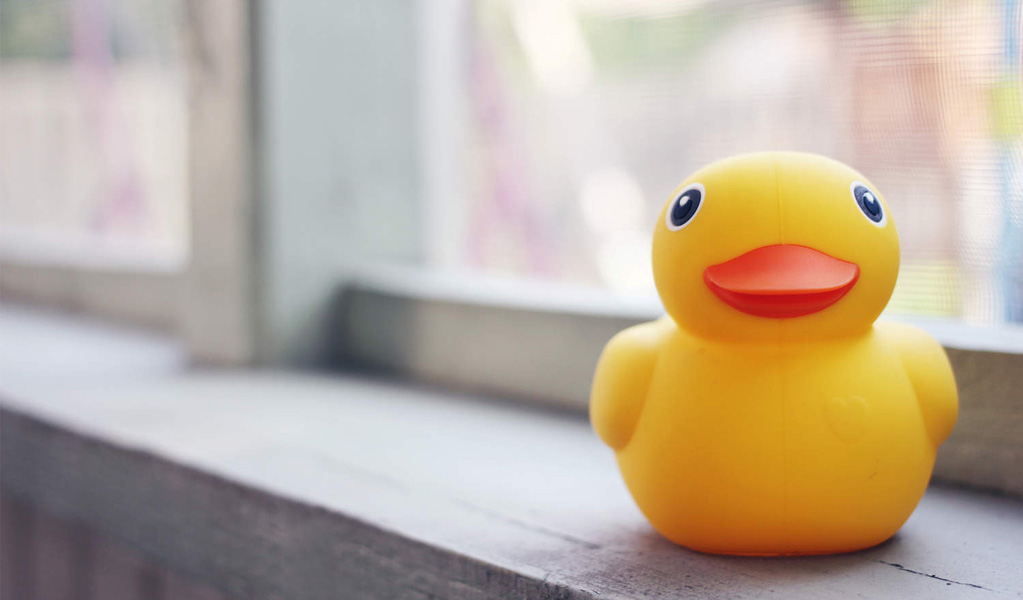 Edwin le canard de bain Edwin le canard de bain