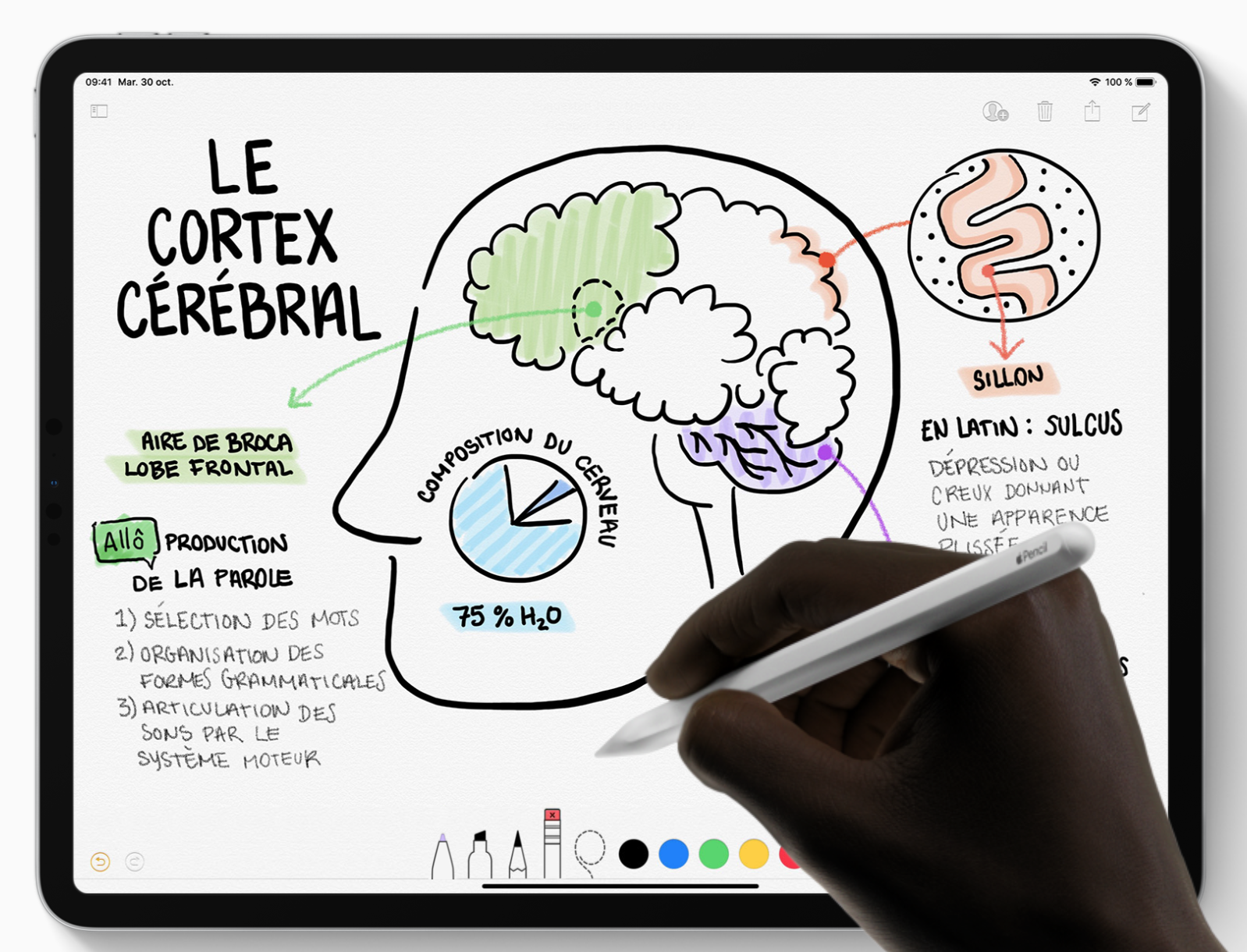 Apple Pencil iPad Pro 2018