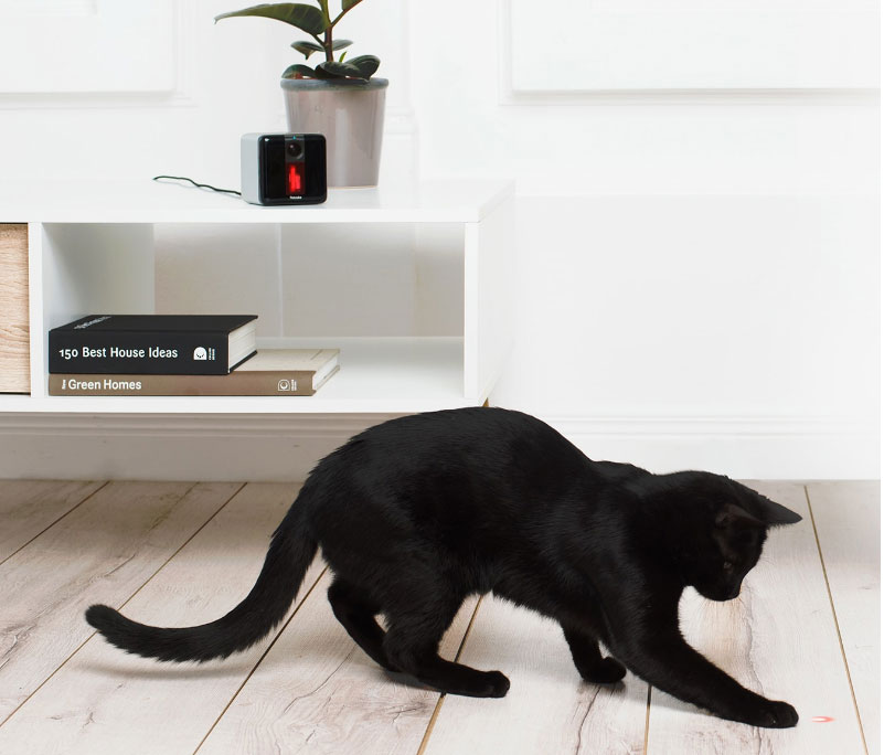 Petcube dans le décor