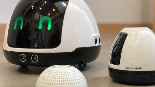 Mia le robot joue avec votre animal de compagnie