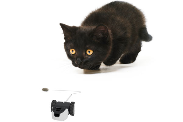 souris motorisee moursr