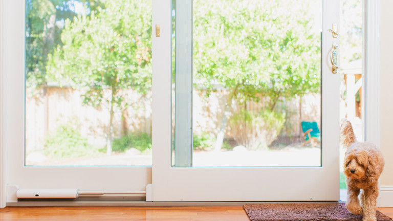 La porte-patio Wayzn s'ouvre et se ferme automatiquement quand notre chien se présente devant elle. Porte-patio Wayzn chien