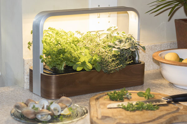 bac interieur fines herbes