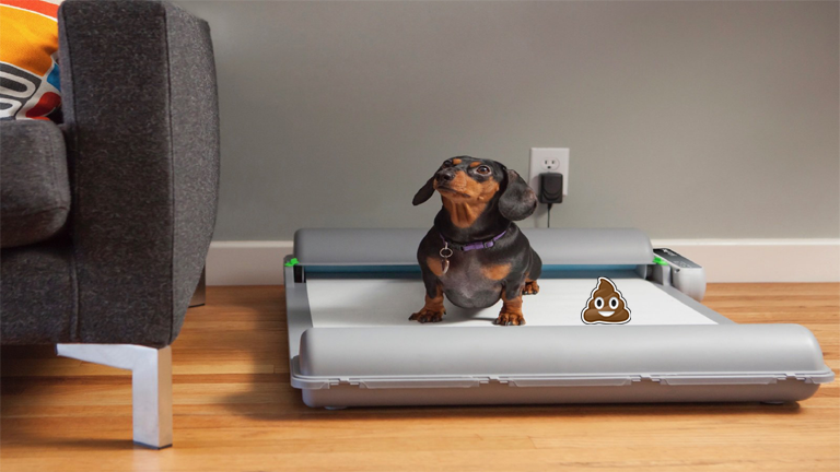 Brillant Pad besoins chien caca pipi