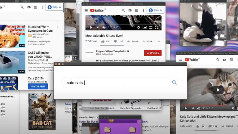 En fonction de notre choix, du contenu est rapidement ouvert pour créer une identité web fictive. contenu Cookie Factory nouvelle identité web