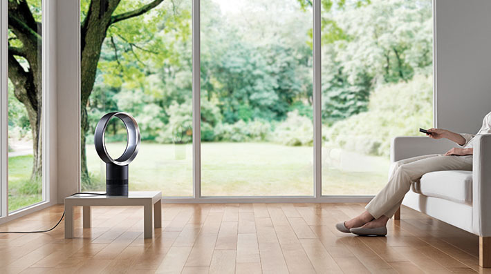 Ventilateur Dyson AM06