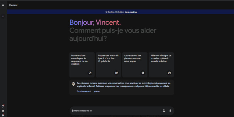 Interface de Google Gemini