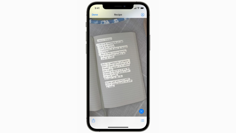 Live Text iPhone iOS 15
