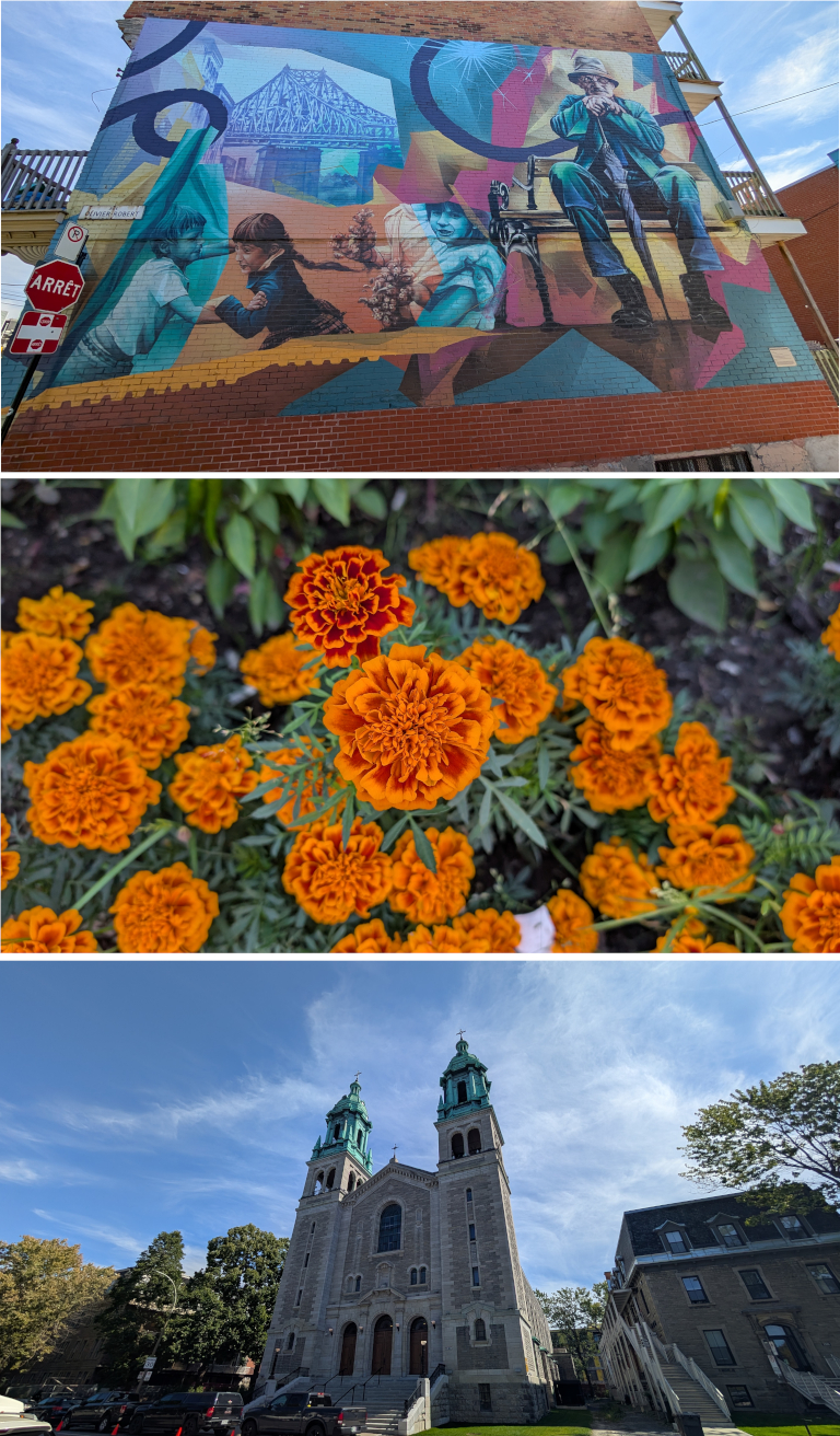 Photos prises avec le Pixel 8