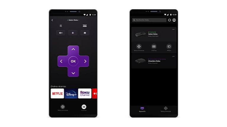 Roku application mobile