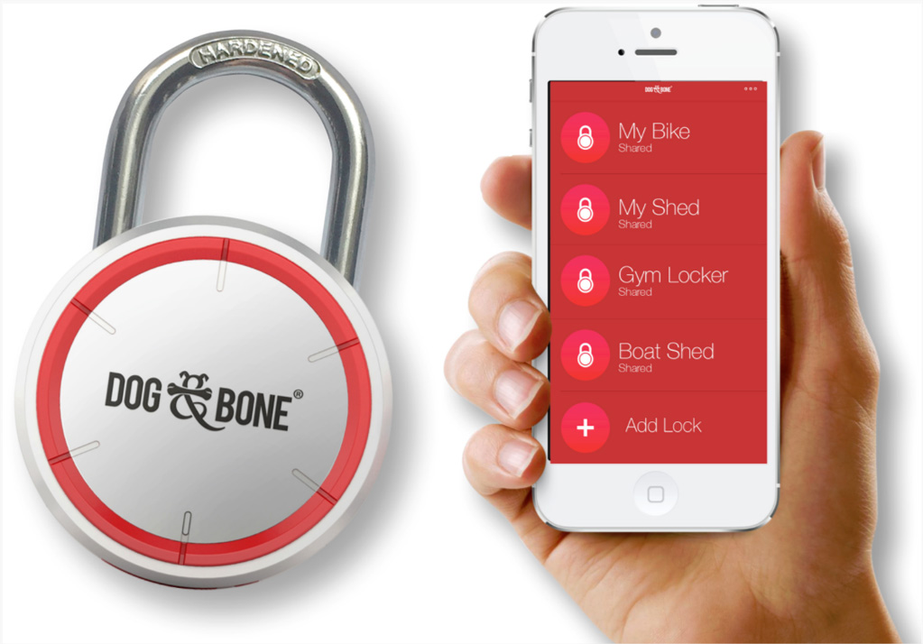 LockSmart Dog & Bone