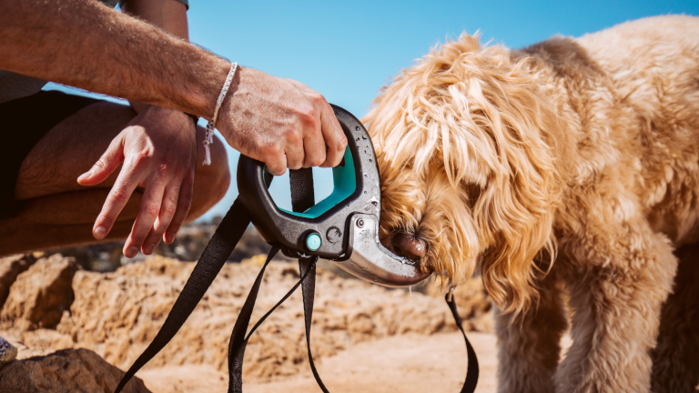 Lorsque notre chien a besoin d’être hydraté, nous avons simplement à appuyer sur un bouton pour rafraichir notre meilleur ami avec de l’eau. La laisse pour chien Spleash