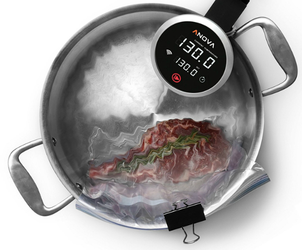 thermoplongeur anova