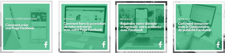 Les formations sur les Pages Facebook se donnent en 4 étapes, du niveau préparatoire à avancé. tous niveaux cours votresite formation