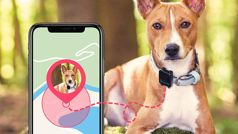 Le Tractive est un petit GPS qui s’installe dans le collier de notre animal. tractive gadget suivi gps animal compagnie