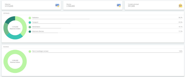 visualisation depense revenu budget express