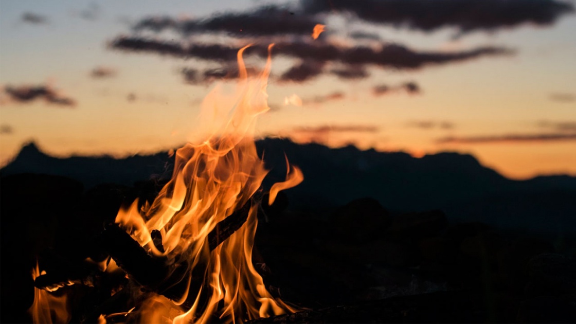 Lot De 12 Allume-feu Naturels En Copeaux De Bois - Idéal Pour Foyer, Cheminée, Campement