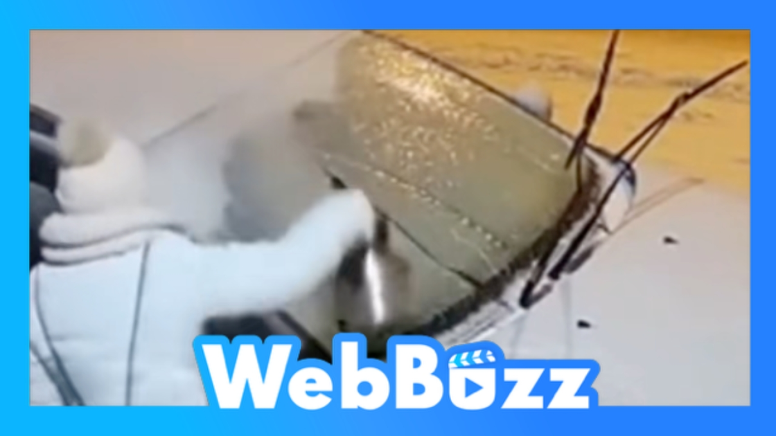 Kit De Réparation De Pare-brise 2025 Pour éclats Et Fissures, Kit De Réparation De Fissures De Pare-brise De Voiture De Qualité Supérieure Pour Outil De Réparation De Pare-brise Automobile, Outils De