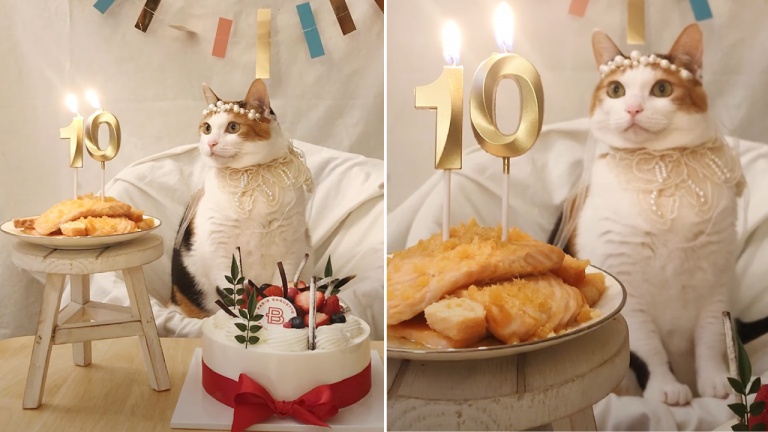 Un anniversaire fêté comme il se doit