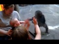 Bébé et chimpanzé s'amusent au zoo
