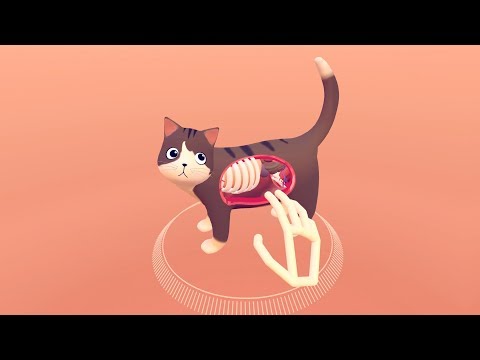 Explorez l'intérieur d'un chat en réalité virtuelle