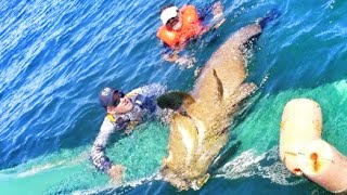 La vidéo de pêche la plus spectaculaire de l'année!