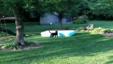 La piscine qui se déplace seule