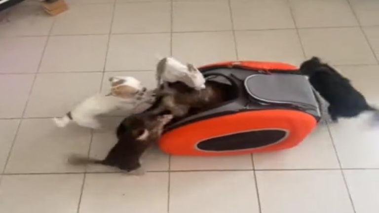 Un voyage en sac plus facile que vous ne le pensiez!