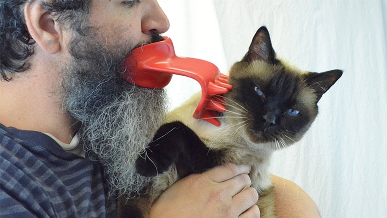 Un accessoire étrange pour lécher son chat