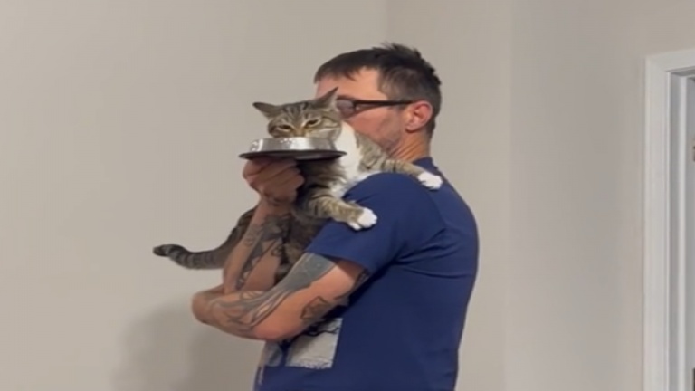 Quand il veut manger seulement comme ça
