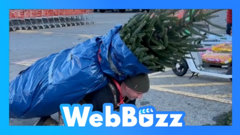 Transporter son sapin en trottinette