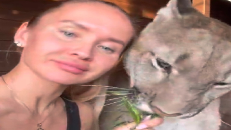 Tout doux le minou!