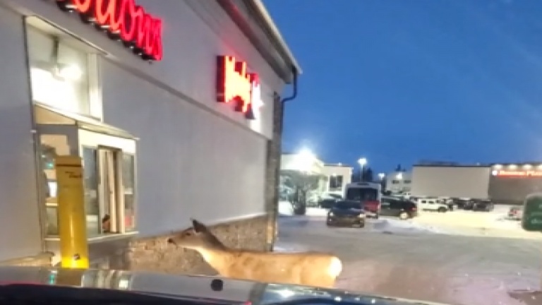Un service au volant vraiment pour tout le monde!