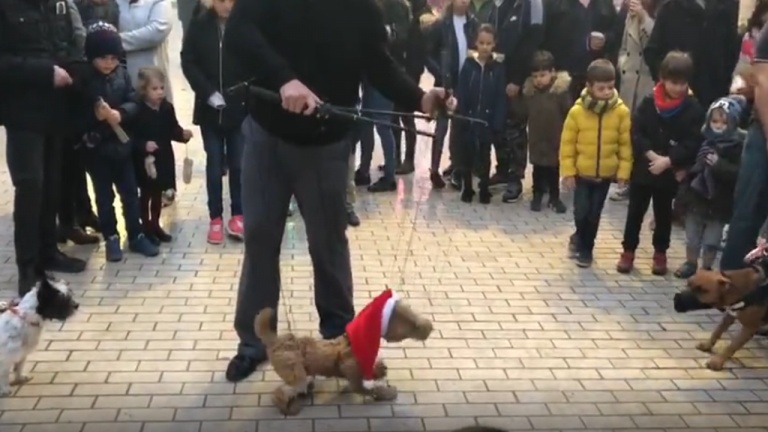 Un bon spectacle pour les animaux et la famille!