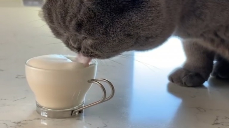 Le café du matin, une véritable nécessité