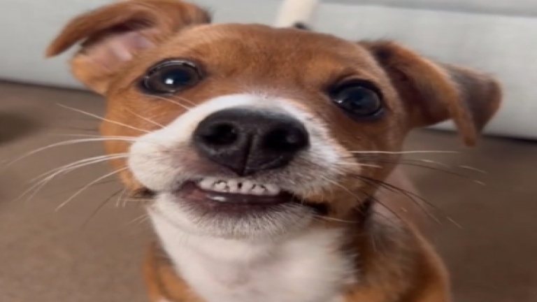 Un adorable sourire pour la Saint-Valentin