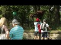 Où est le Parc Jurassique?