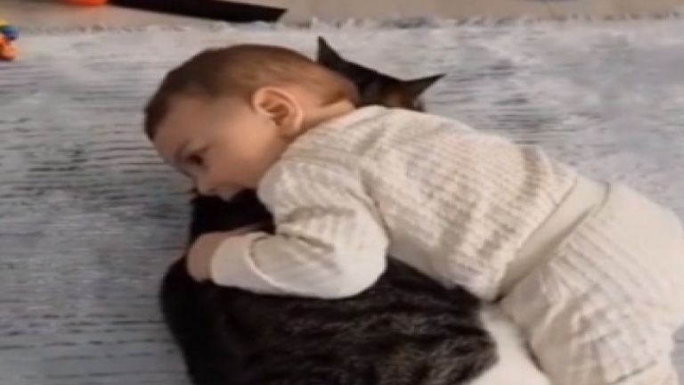 Ça, c'est vraiment de l'amour!