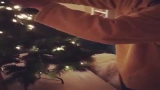 Un nouvel animal de Noël?
