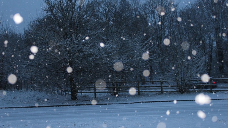 La tombée de la neige, un bruit beaucoup plus apaisant qu’on ne pourrait penser!