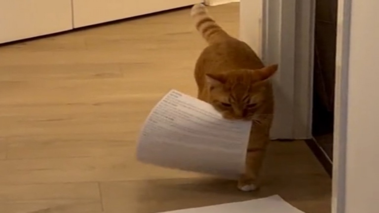 L'assistant au travail
