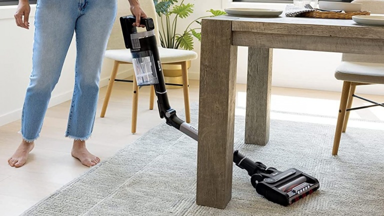 Voici l'aspirateur sans fil rêvé pour ceux qui ont un chat ou un chien à la maison!