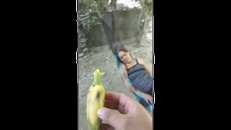 Le fruit d'une bonne blague