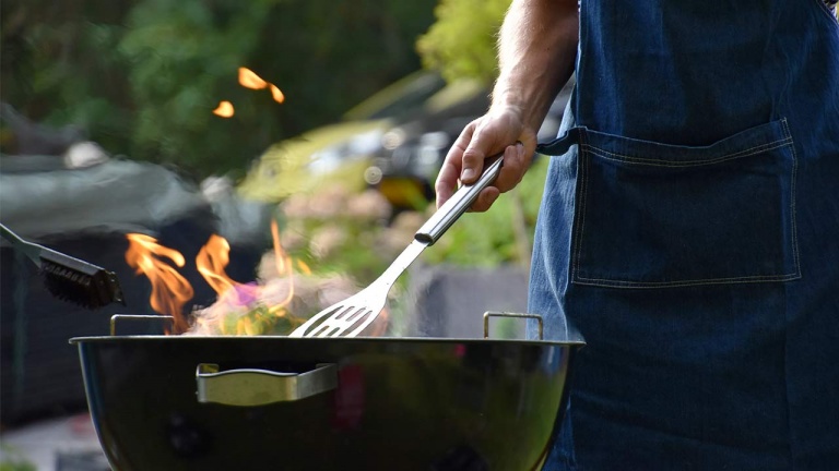 Parc pour un BBQ au milieu du fleuve à Montréal