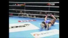 Bec de boxeur