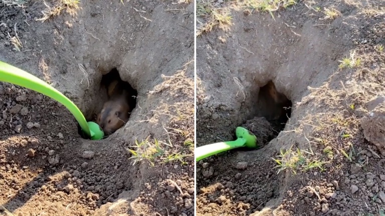 Tout le monde a parfois besoin d’aide