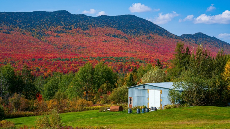 Suivez les couleurs d'automne au Québec grâce à cette carte sur le web