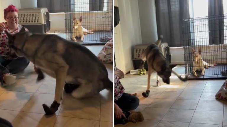 Quand il pleut, il faut toujours bien se protéger