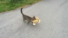 On n'est jamais mieux servi que par soi-même!